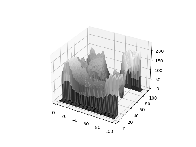 Surface Plot