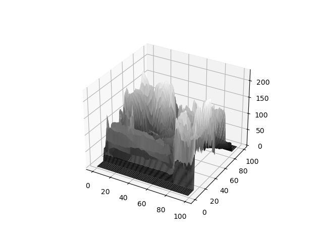 Surface Plot